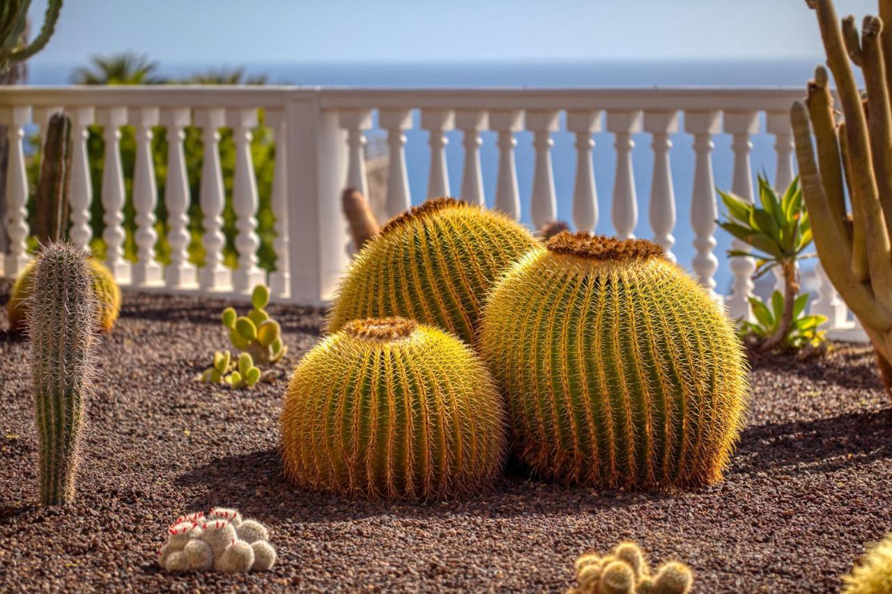 Stunning With Breathtaking Ocean View Mogan